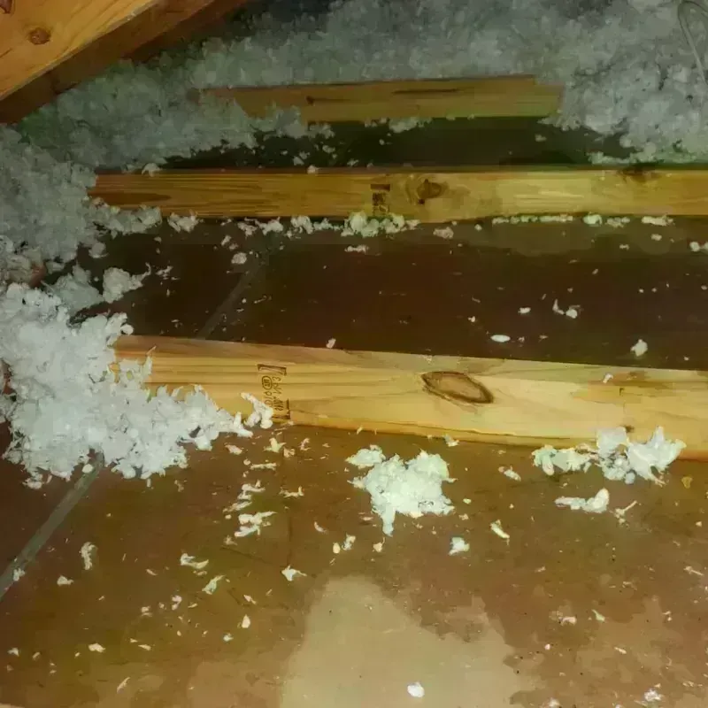 Attic Water Damage in Alpaugh, CA