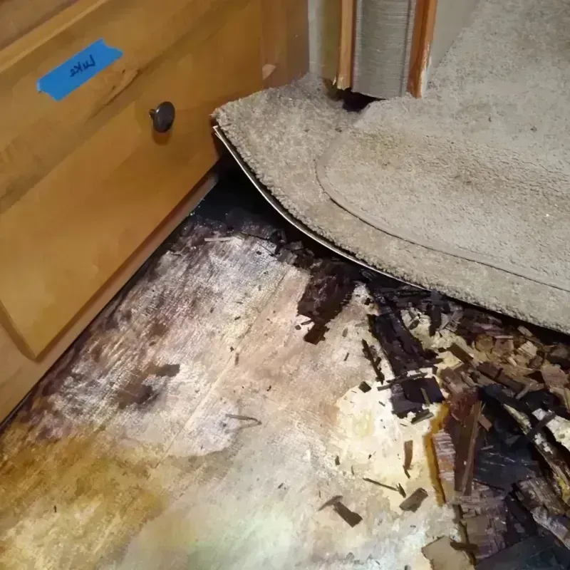 Best Wood Floor Water Damage Service in Alpaugh, CA